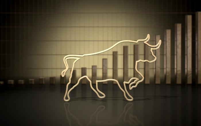 Bull Market: o que significa esse termo? Entenda! 